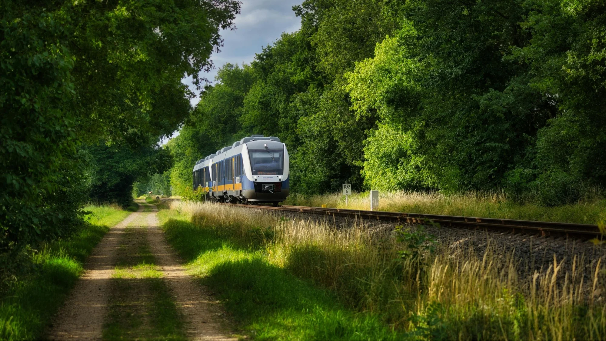 Tren